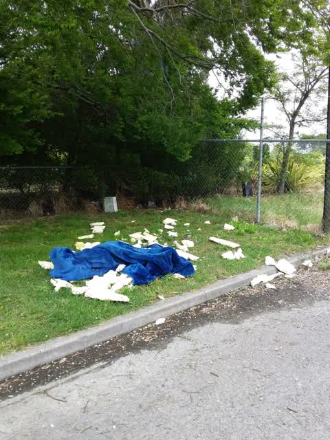 Rubbish/Recycling, a report photo
