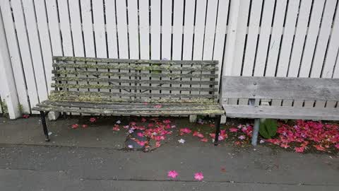 Rubbish/Recycling, a report photo