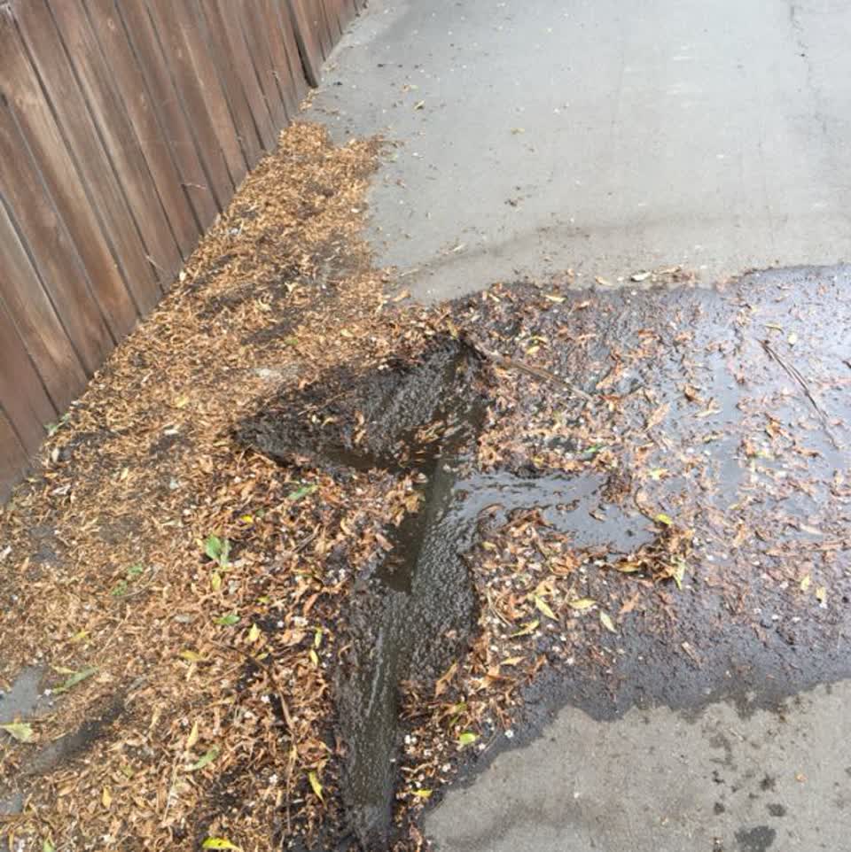 The photograph attached to this roading/streets report