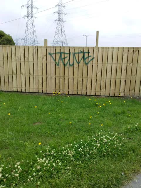 Graffiti, a report photo