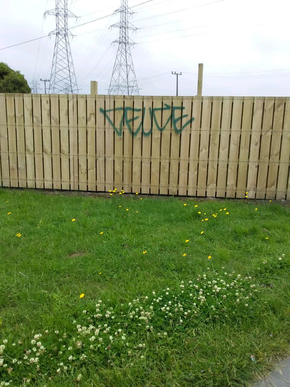 The photograph attached to this graffiti report