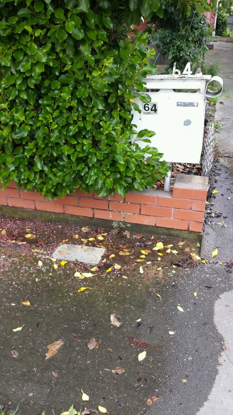 The photograph attached to this water supply report
