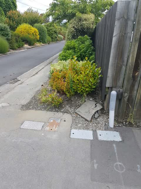 Roading/Streets, a report photo