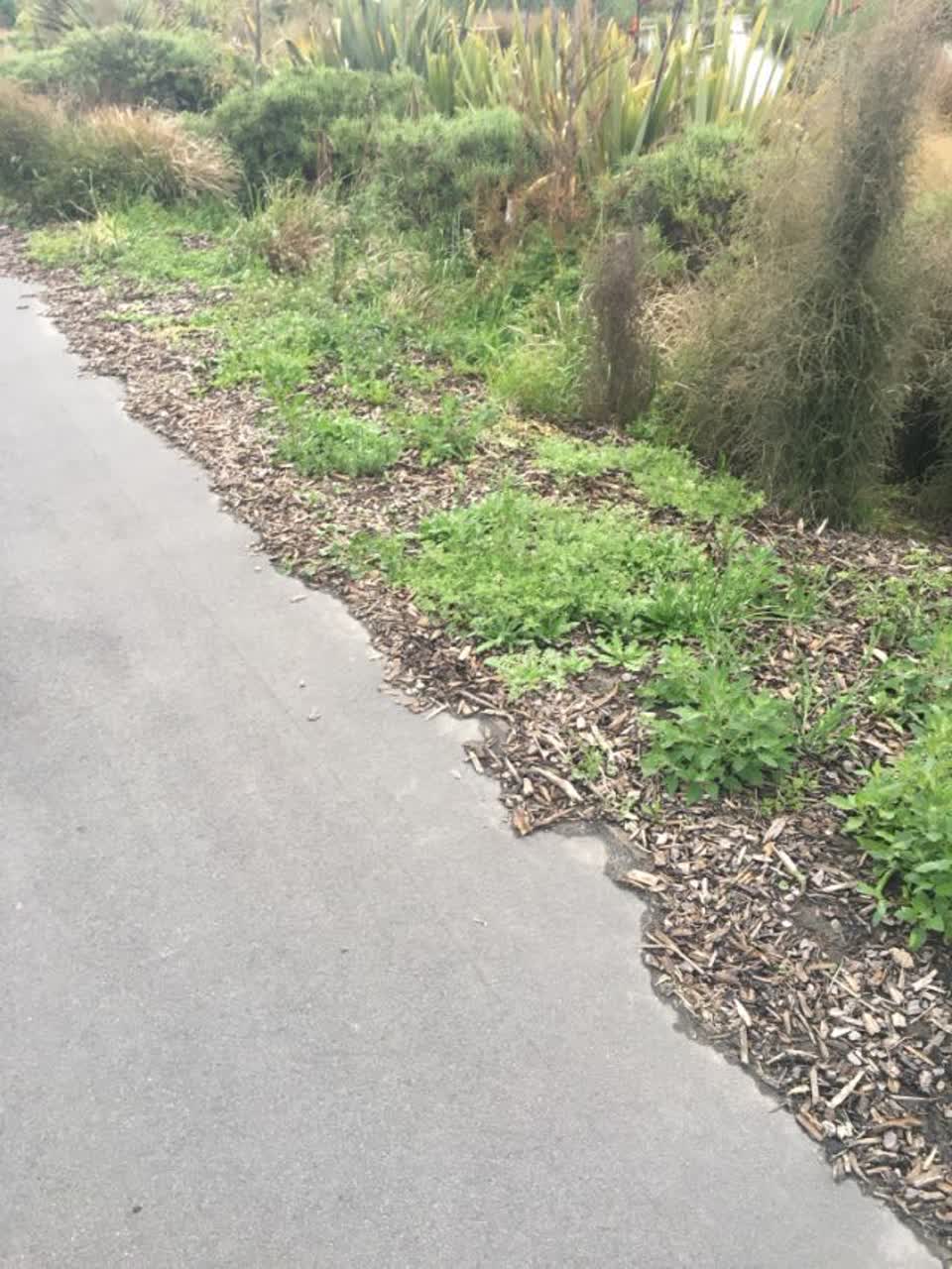 The photograph attached to this parks report