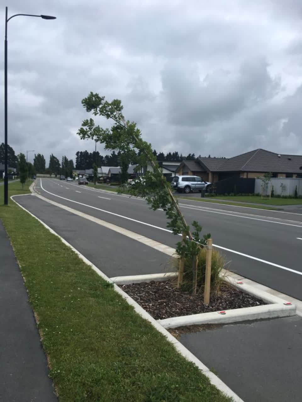 The photograph attached to this parks report
