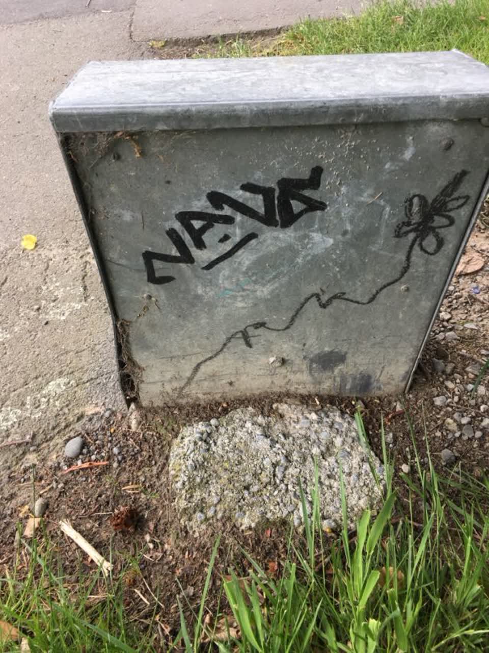 The photograph attached to this graffiti report
