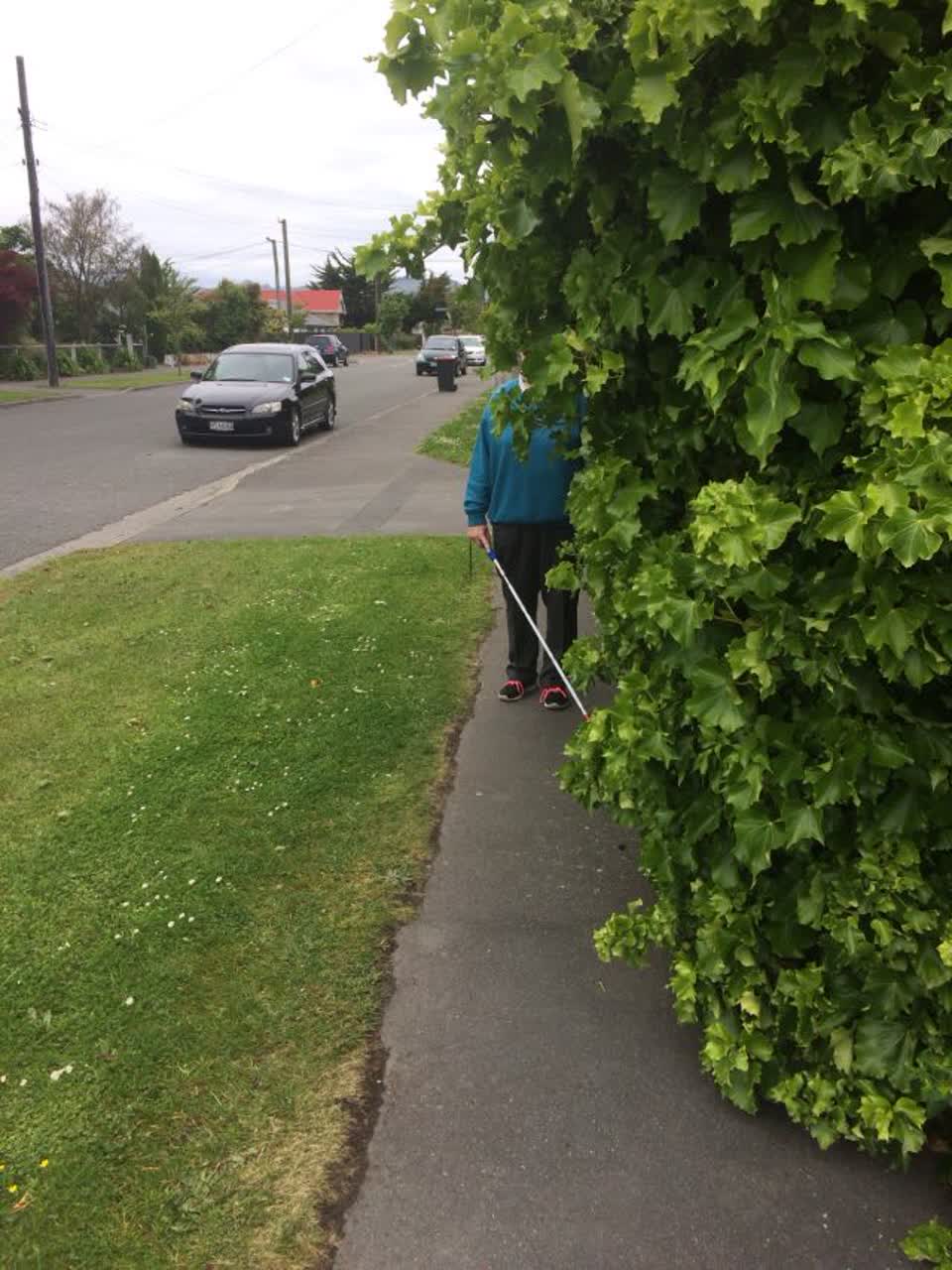 The photograph attached to this roading/streets report