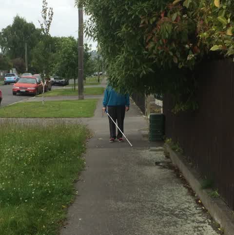 Roading/Streets, a report photo