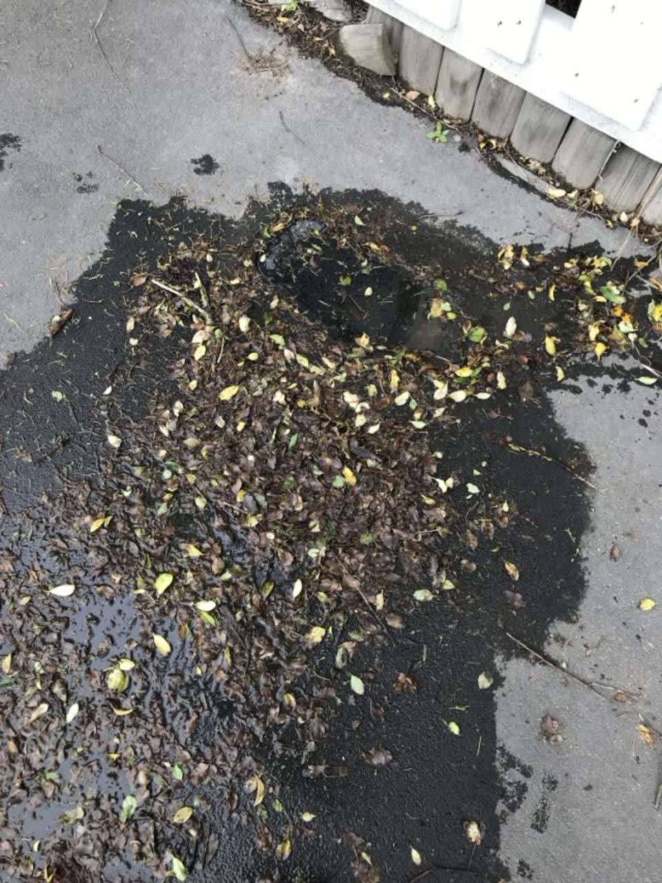 The photograph attached to this water supply report