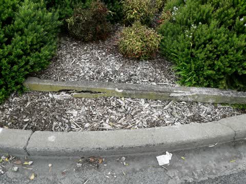 Roading/Streets, a report photo