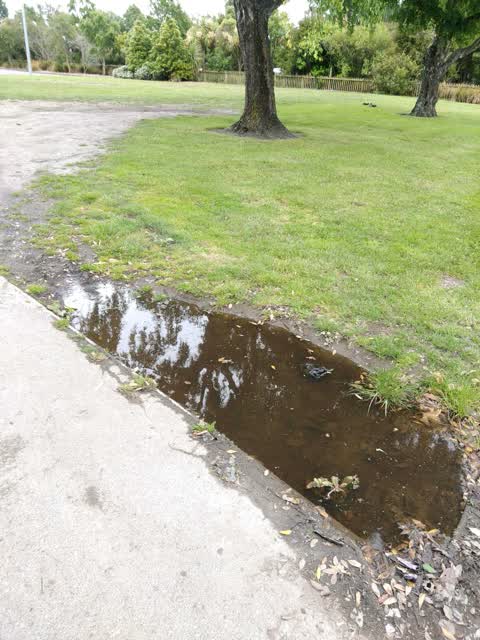 Flooding, a report photo
