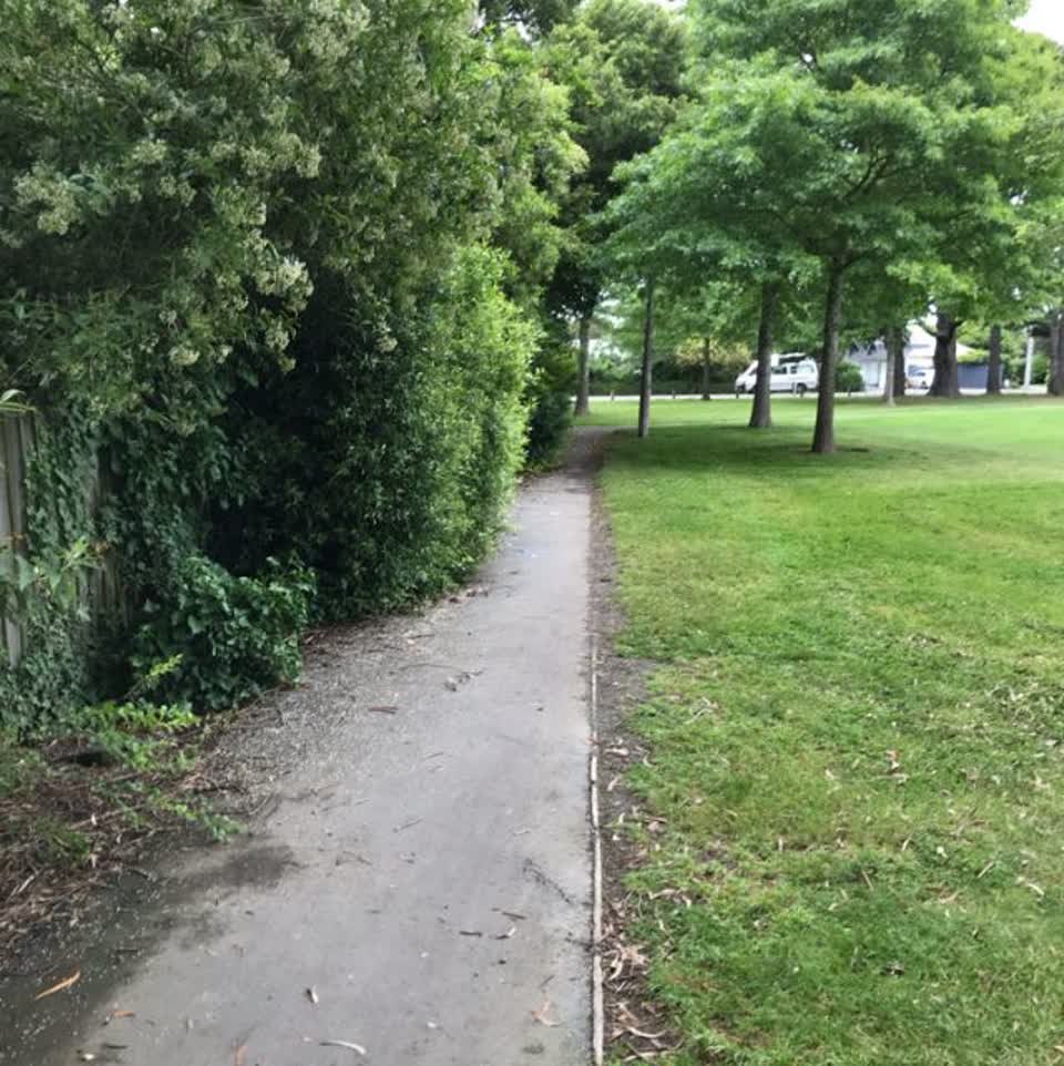 The photograph attached to this parks report