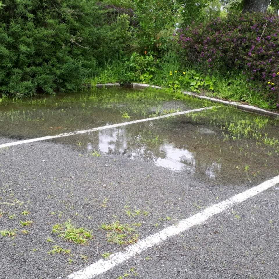 The photograph attached to this parks report
