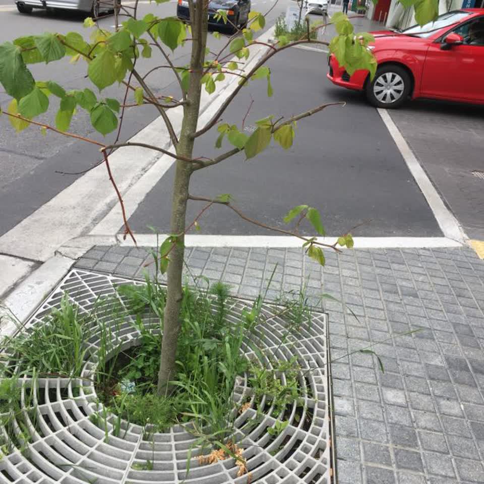 The photograph attached to this parks report