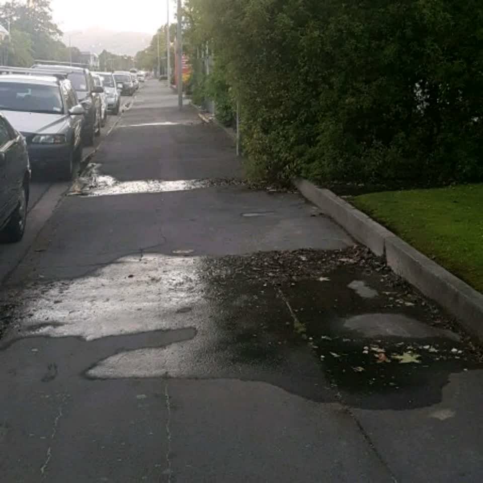 The photograph attached to this wastewater/stormwater report