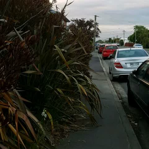 Roading/Streets, a report photo