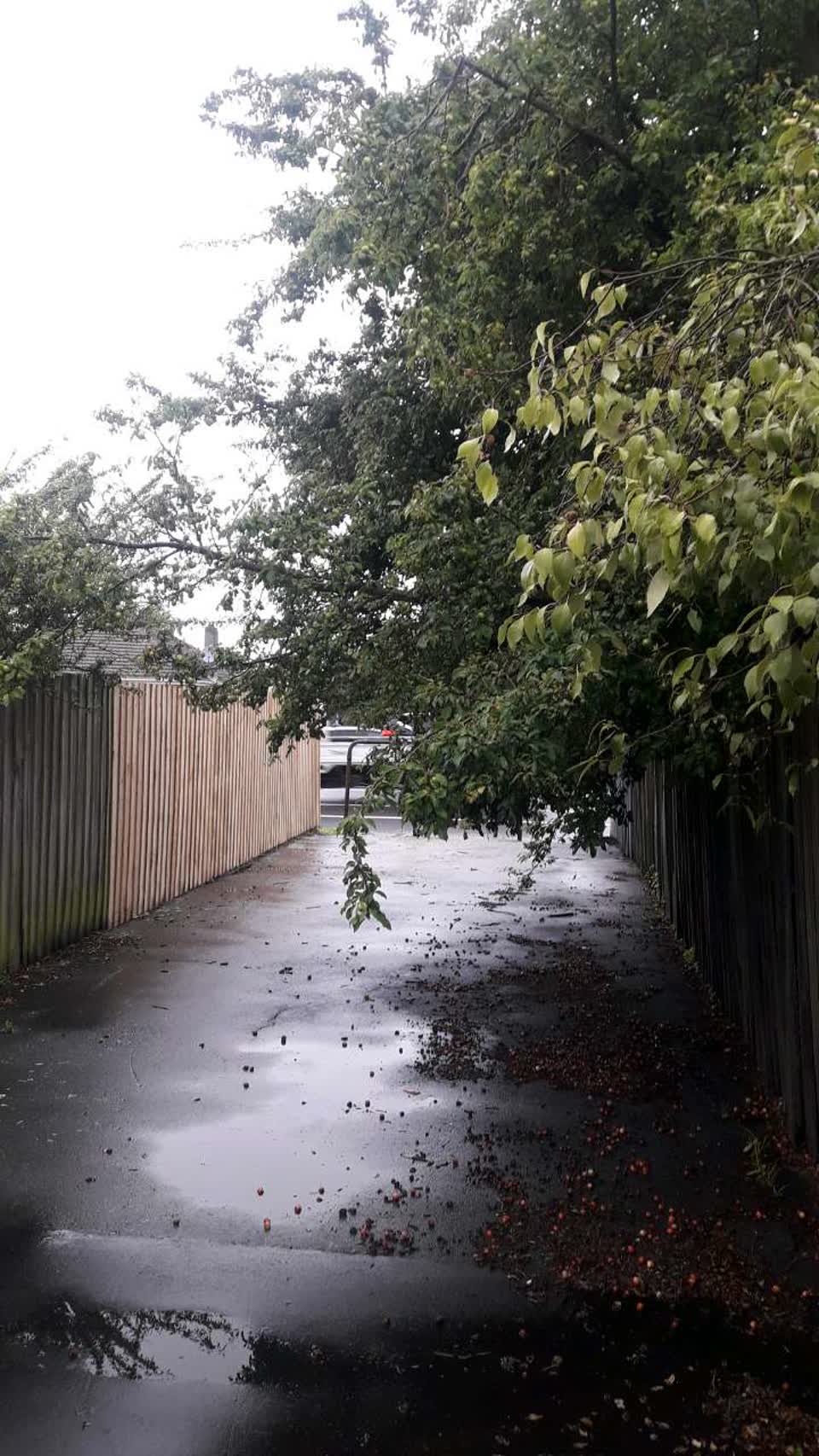 The photograph attached to this roading/streets report