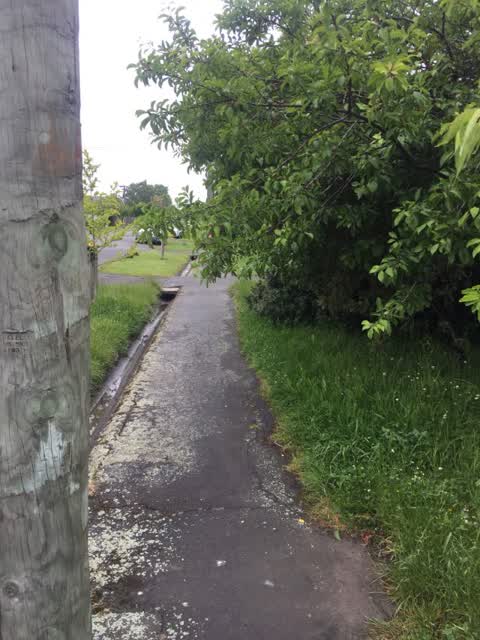 Roading/Streets, a report photo