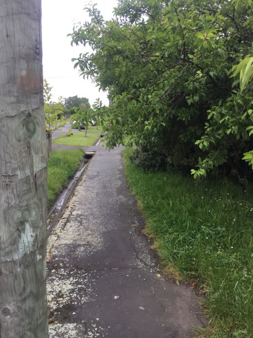 The photograph attached to this roading/streets report