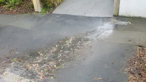 Water Supply, a report photo