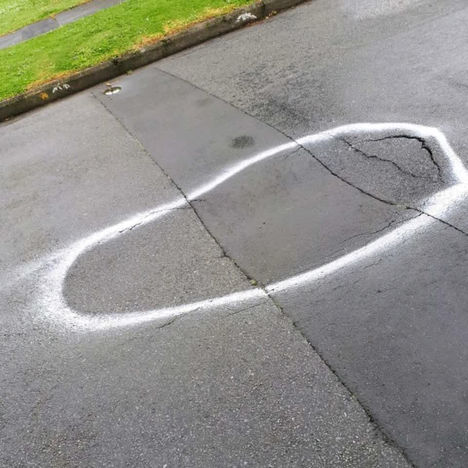 The photograph attached to this roading/streets report