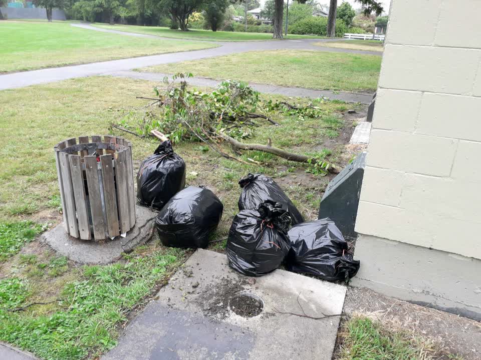 The photograph attached to this parks report