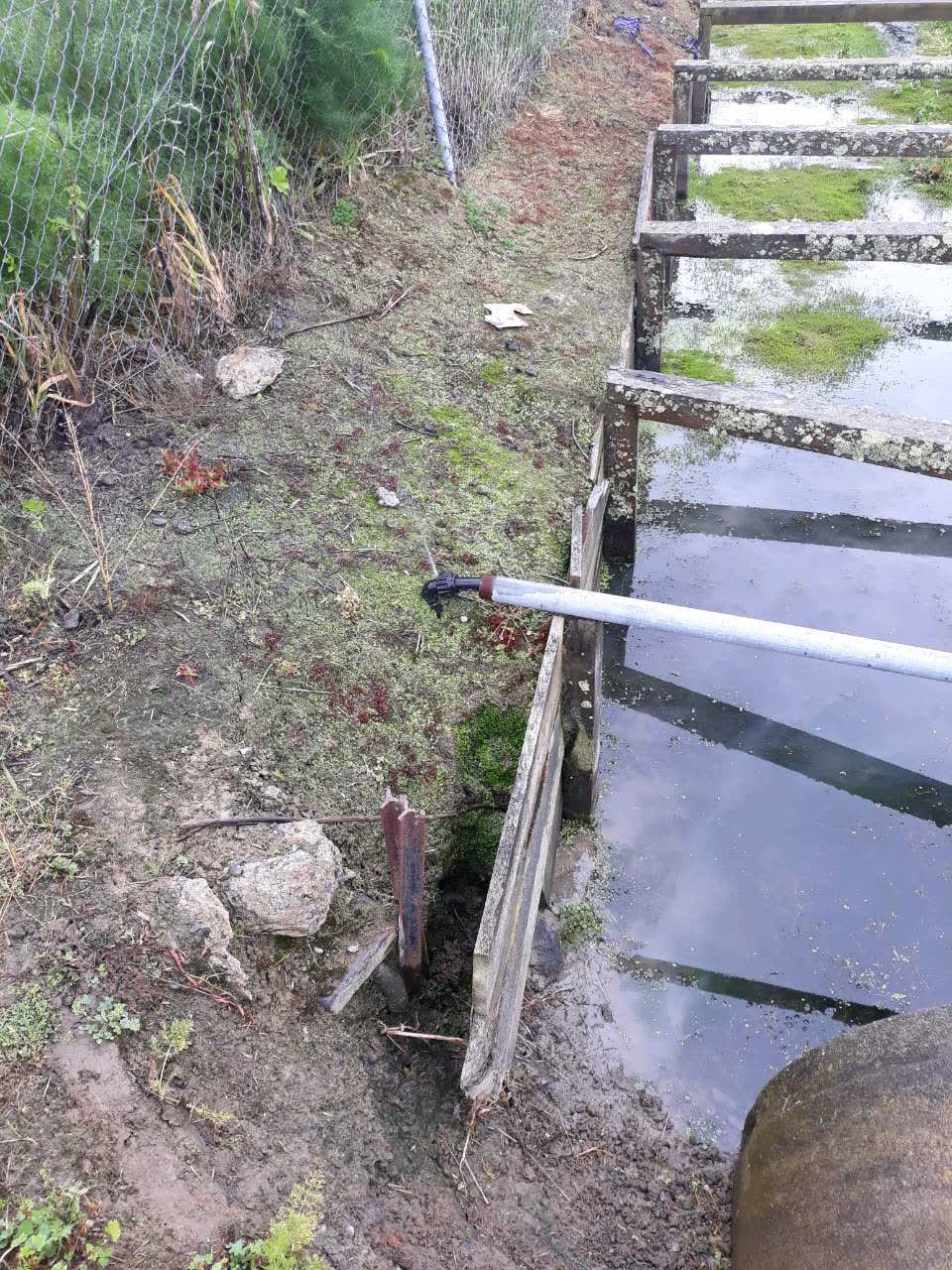 The photograph attached to this water supply report