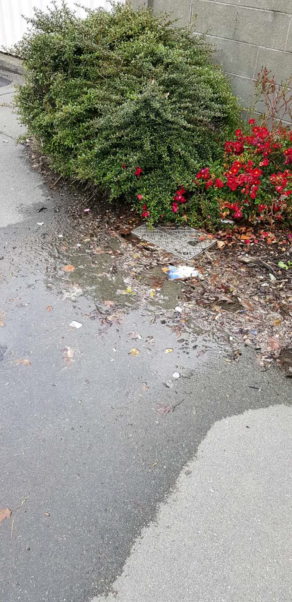 The photograph attached to this water supply report