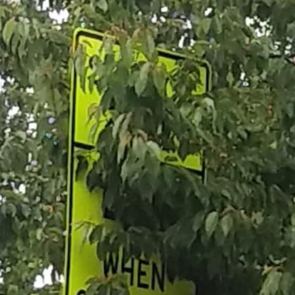 The photograph attached to this roading/streets report