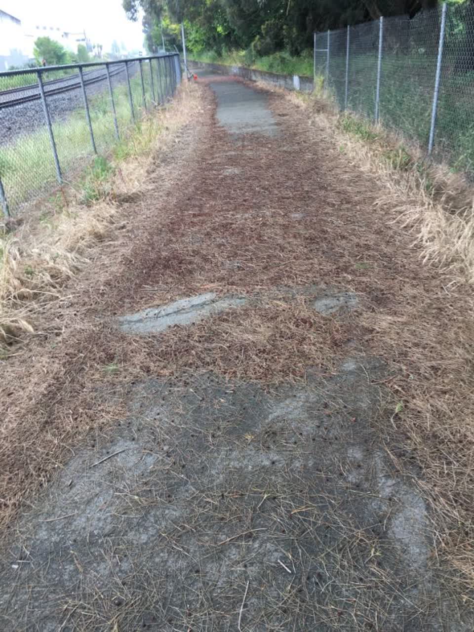 The photograph attached to this roading/streets report
