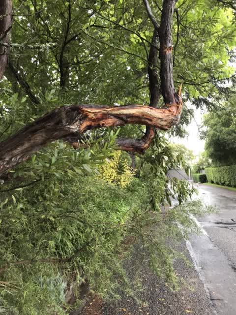Parks, a report photo
