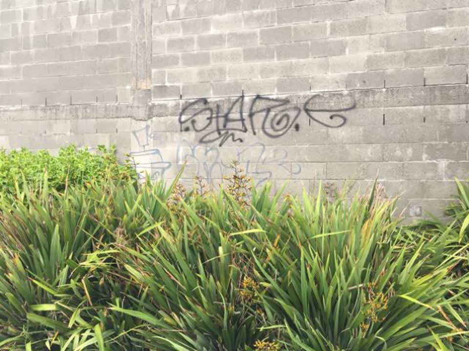 The photograph attached to this graffiti report