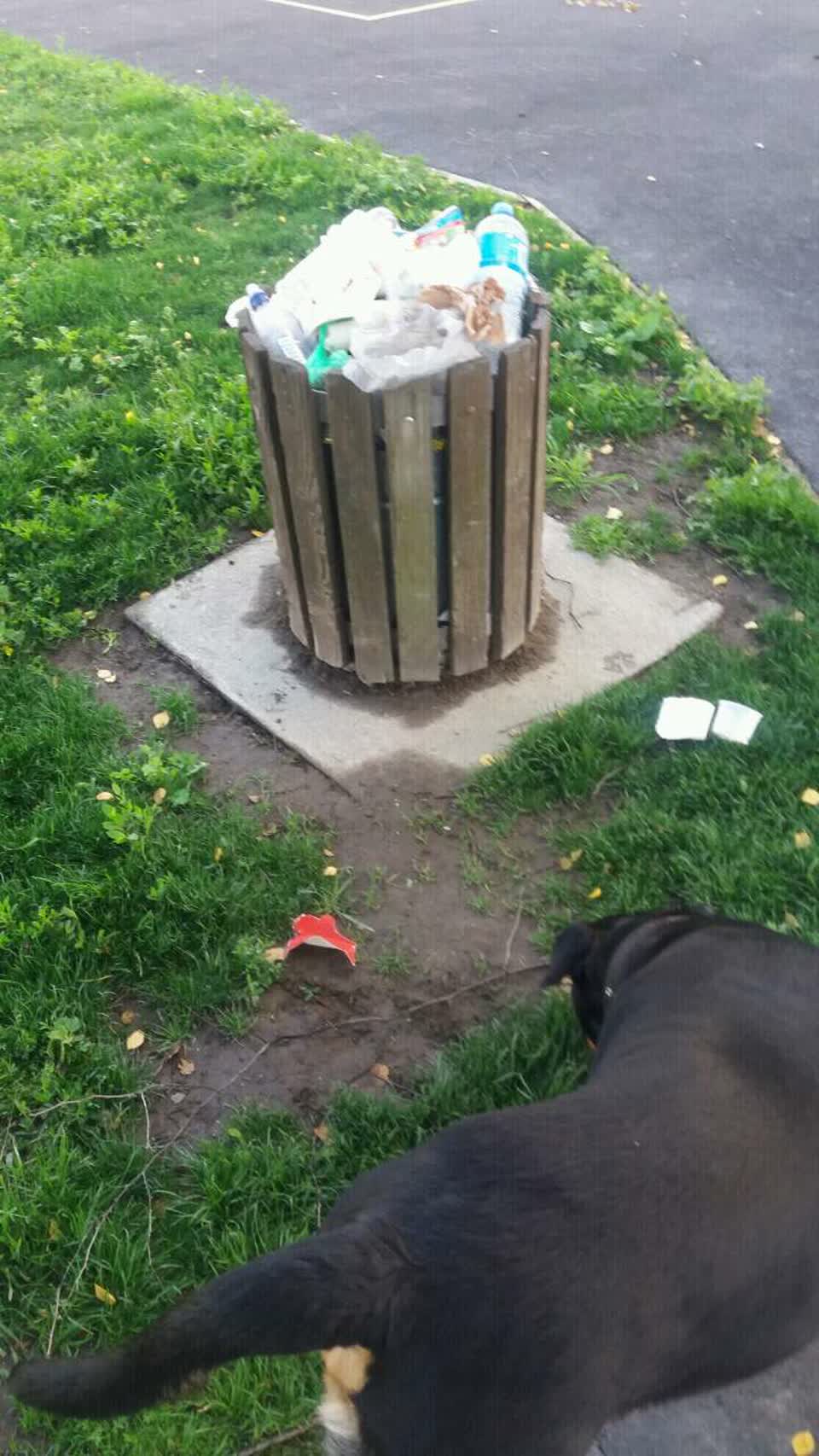 The photograph attached to this rubbish/recycling report