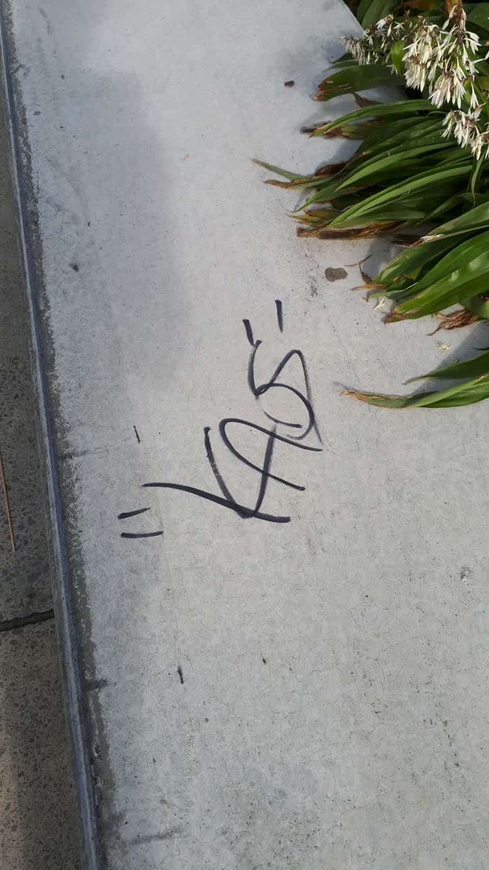 The photograph attached to this graffiti report
