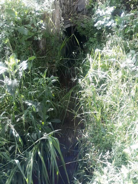 Wastewater/Stormwater, a report photo