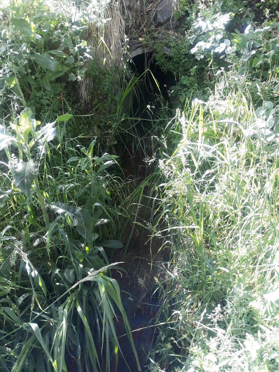 The photograph attached to this wastewater/stormwater report