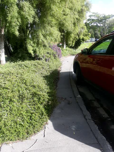 Roading/Streets, a report photo