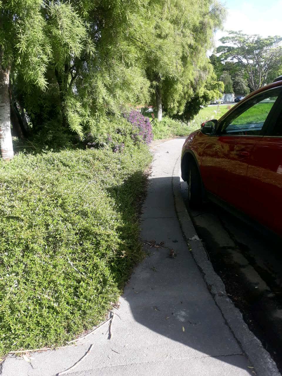 The photograph attached to this roading/streets report