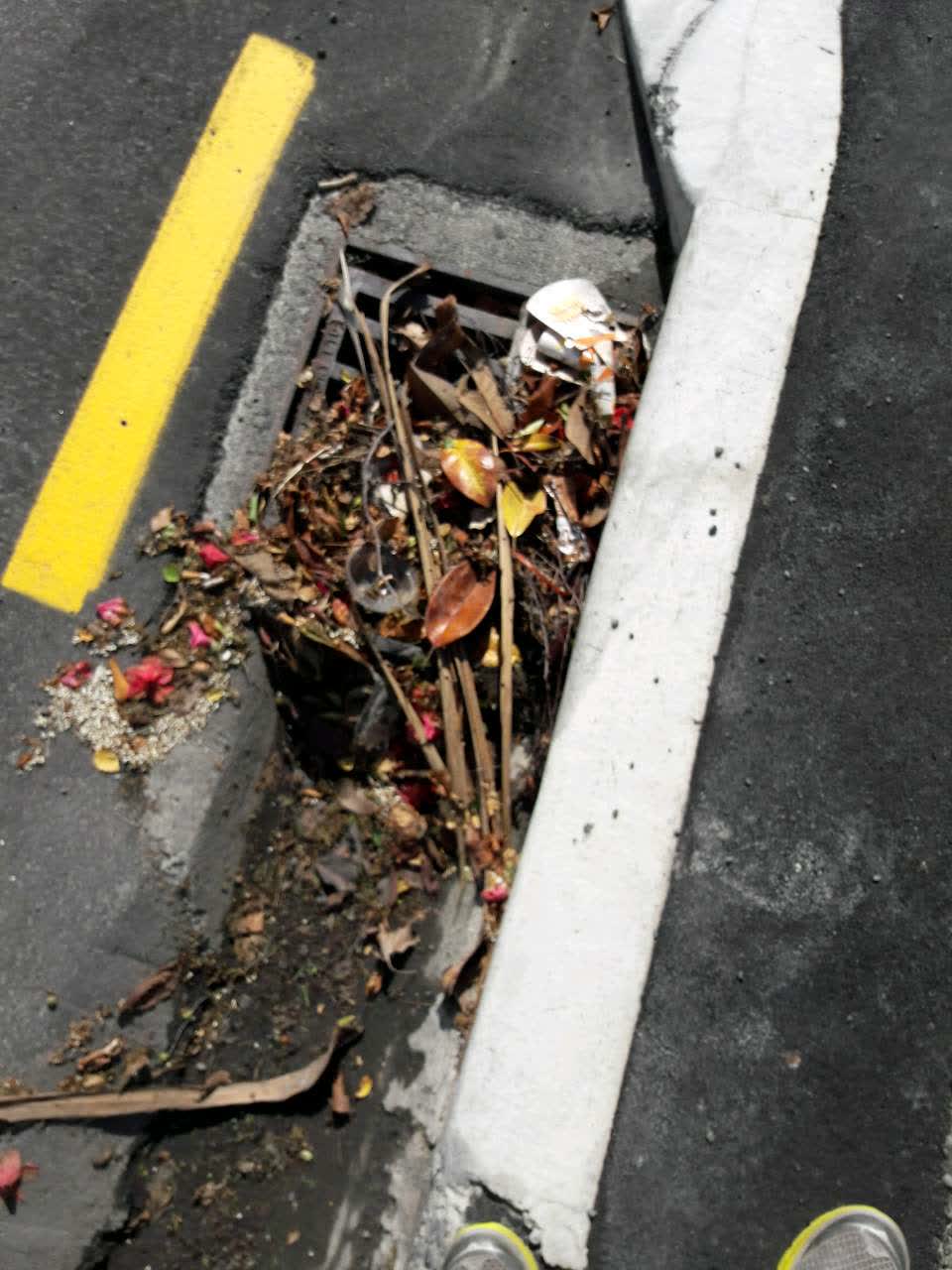 The photograph attached to this wastewater/stormwater report