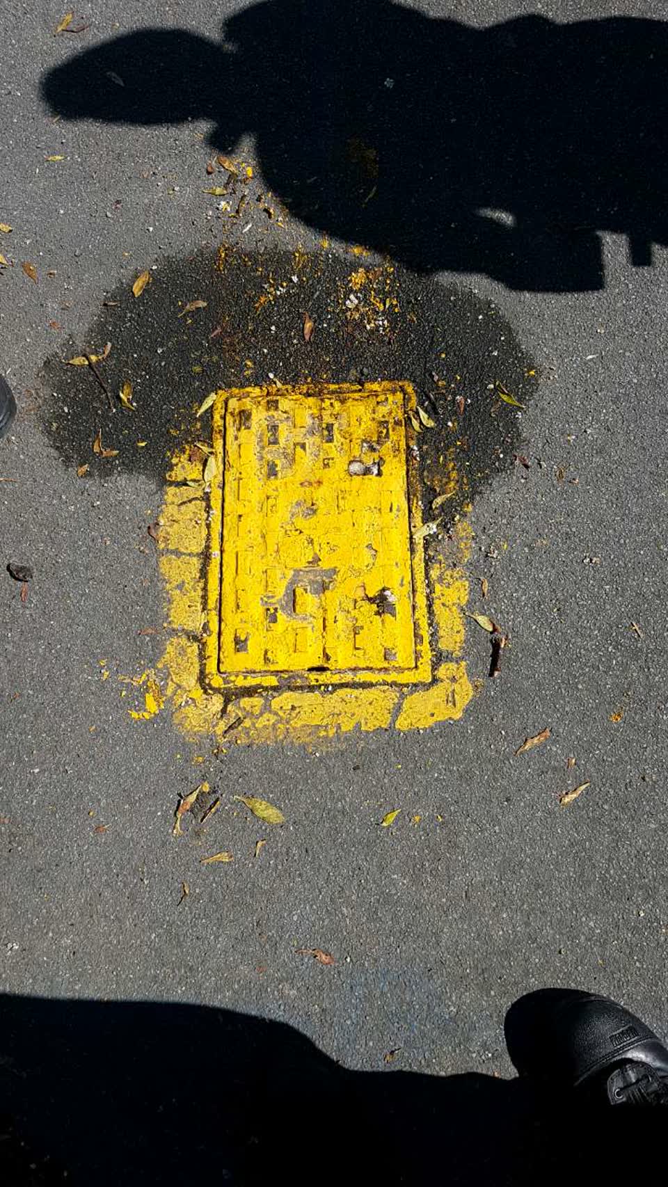 The photograph attached to this water supply report