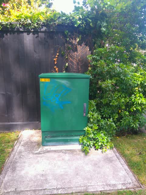 Graffiti, a report photo