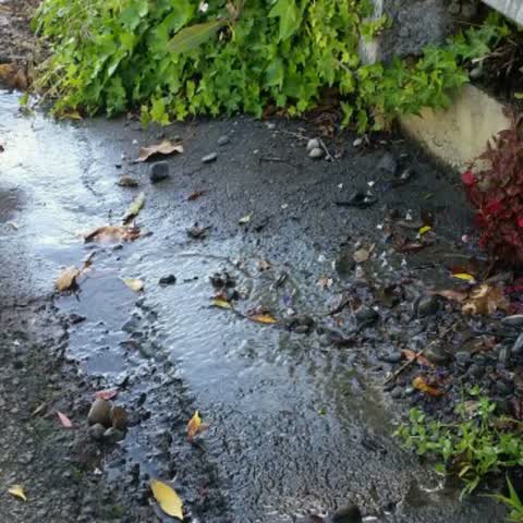 Water Supply, a report photo