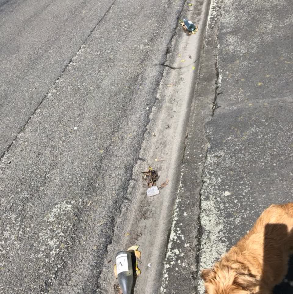 The photograph attached to this rubbish/recycling report