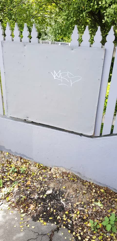 Graffiti — a report photo