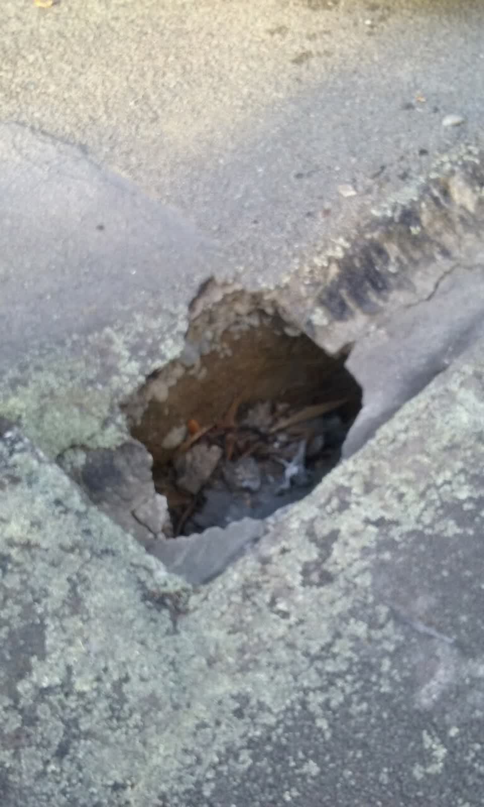 The photograph attached to this roading/streets report