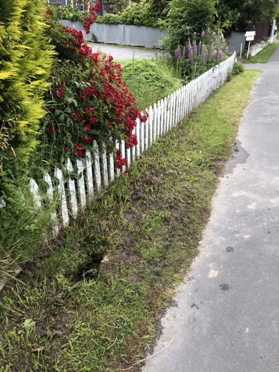 The photograph attached to this water supply report
