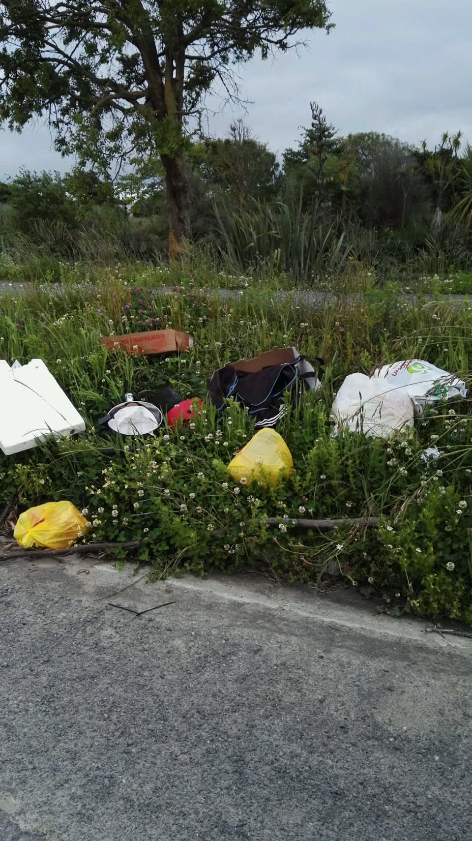 The photograph attached to this rubbish/recycling report