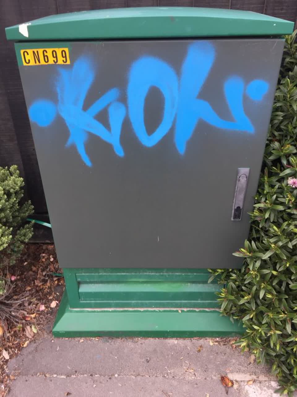 The photograph attached to this graffiti report