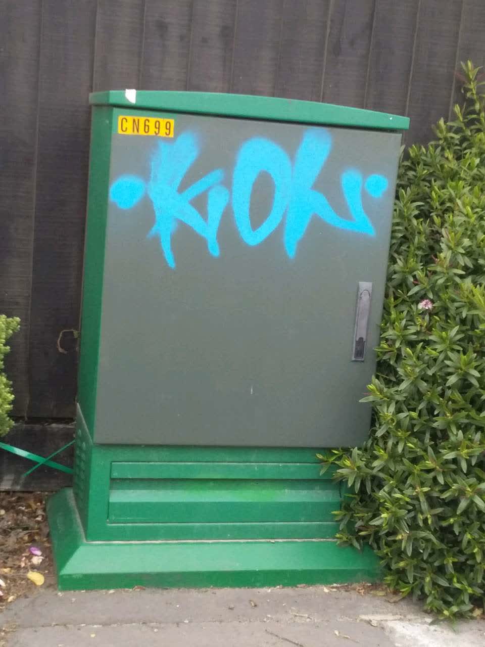 The photograph attached to this graffiti report