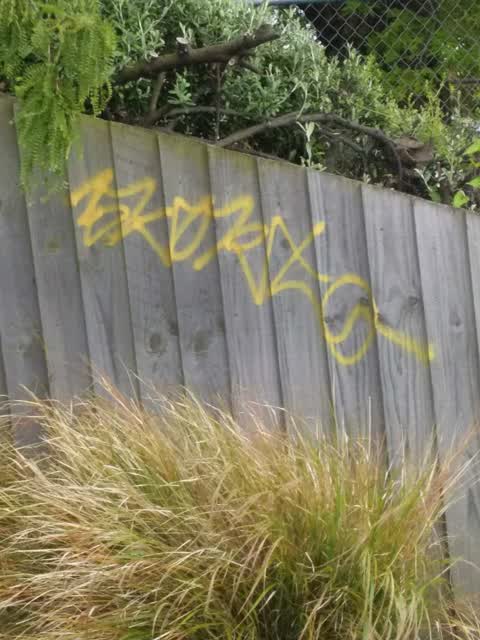 Graffiti, a report photo